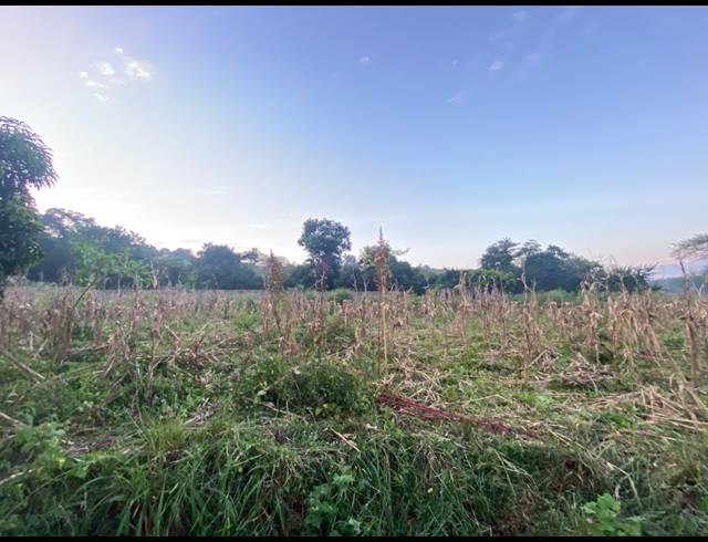 4,500M² VACANT LAND FOR SALE IN NGOVHELA